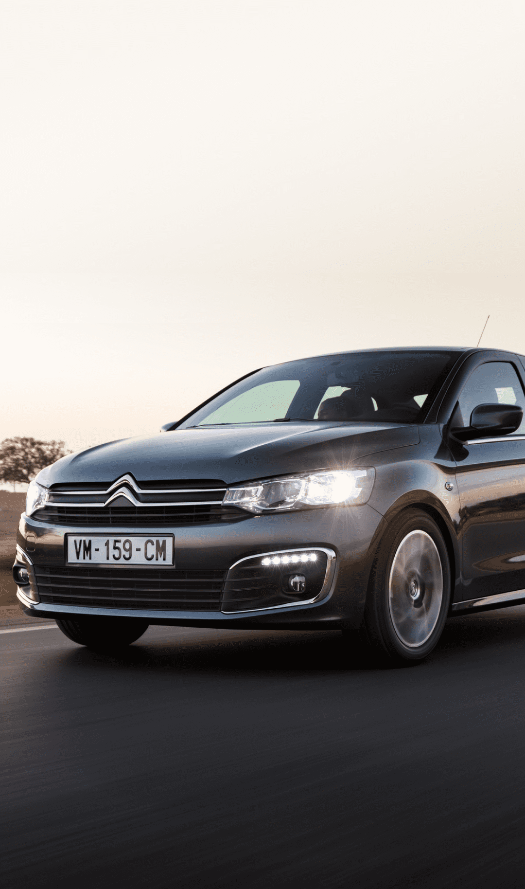 Banner del Vehículo