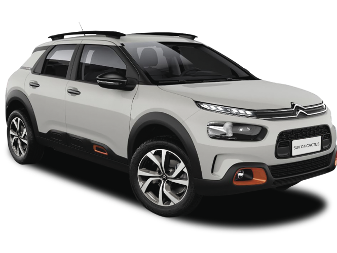 Vehicle color Blanco